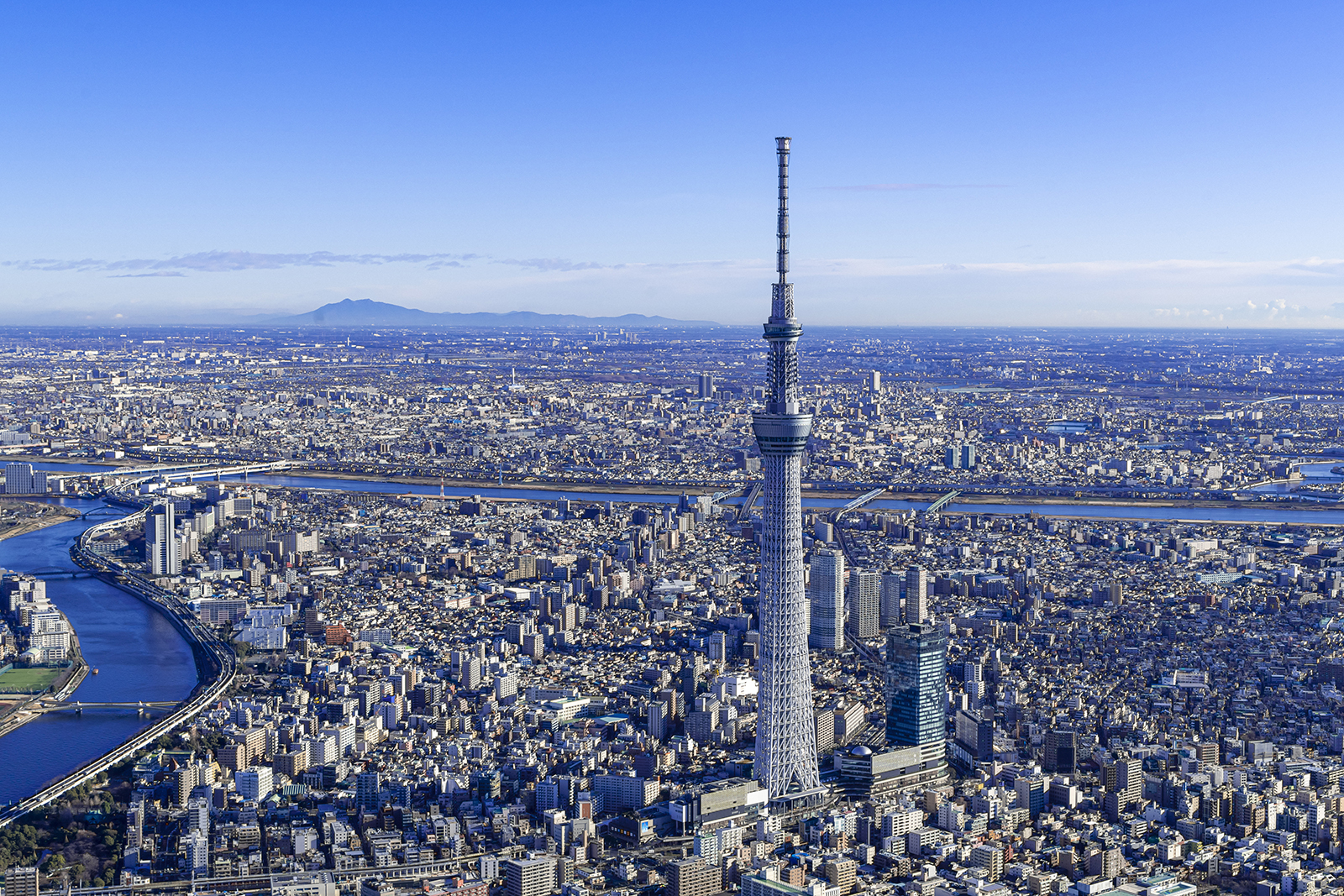 東京都 Jtb 旅の過ごし方